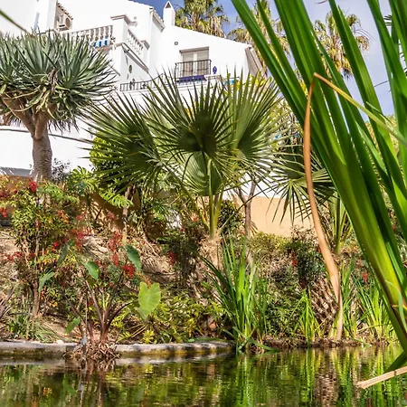 Tetuan 31 Oasis