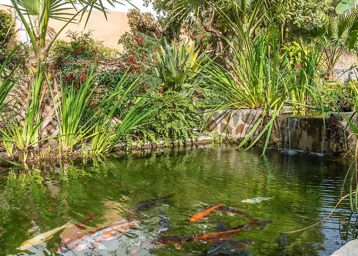 Tetuan 31 Oasis Apartament