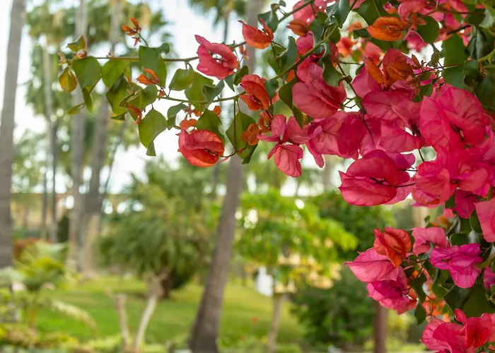 Tetuan 31 Oasis Apartament *