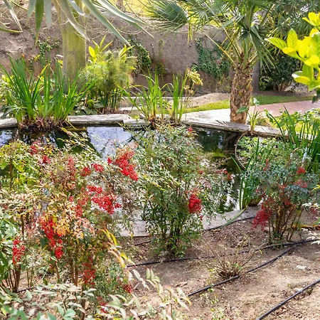 Tetuan 31 Oasis Lejlighed Nerja